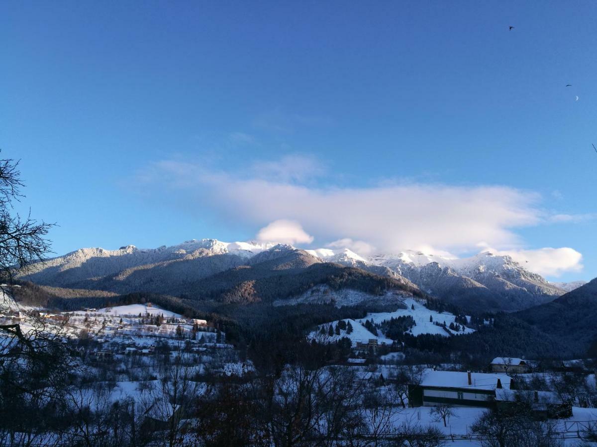 Cabana Festung Бран Екстер'єр фото