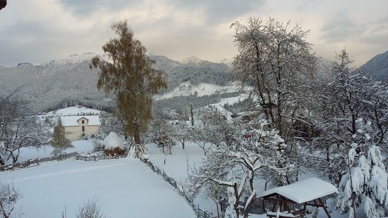 Cabana Festung Бран Екстер'єр фото