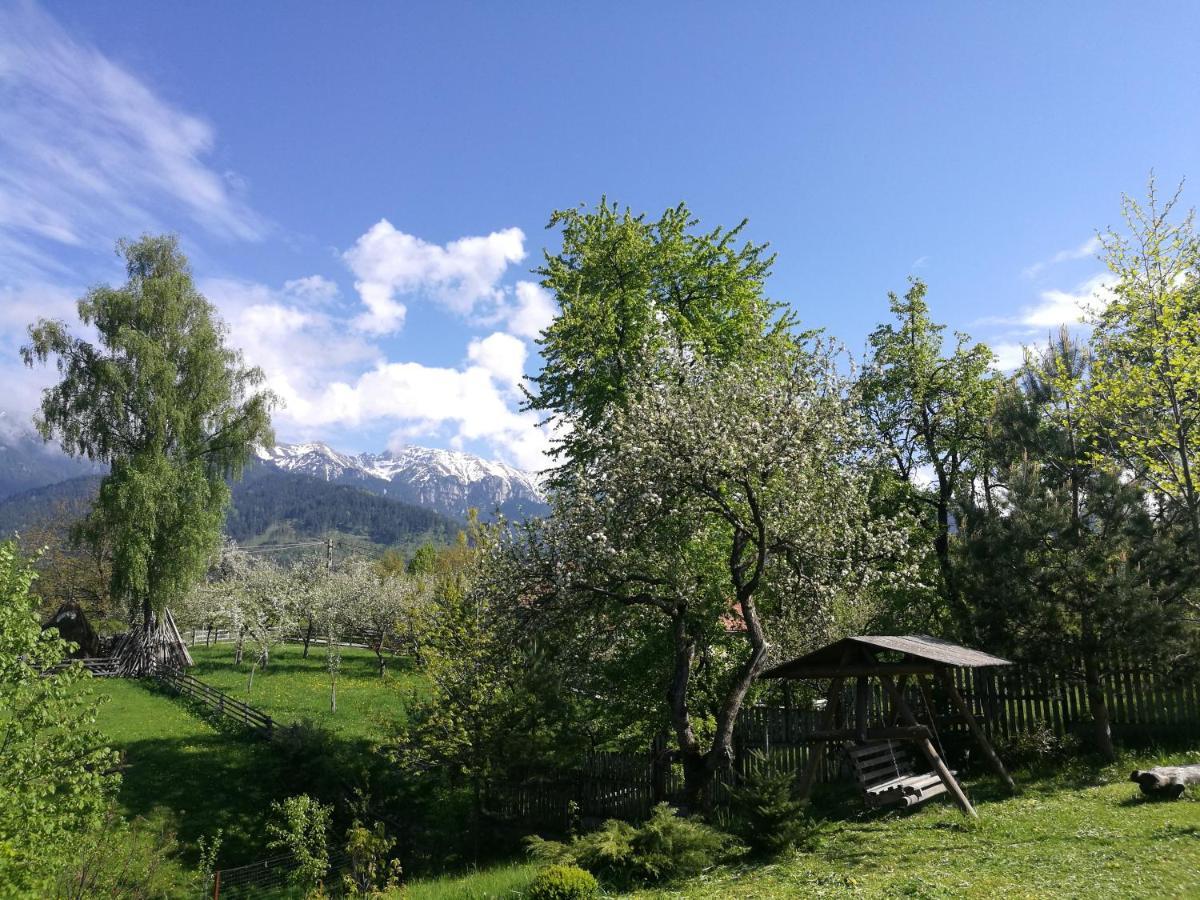 Cabana Festung Бран Екстер'єр фото